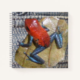 Blue Jeans Frosch Square Notebook Notizbuch