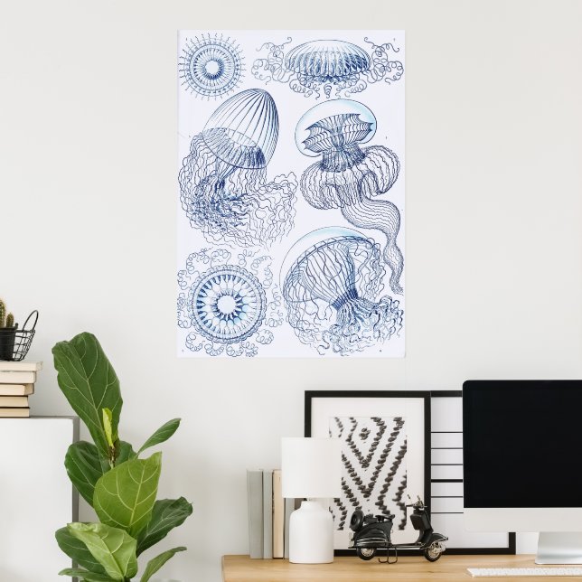 Blue Jellifish - Ernst Haeckel Poster (Heimbüro)