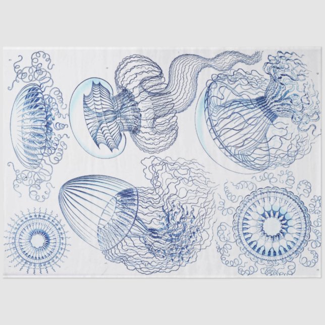 Blue Jellyfish Decoupage Seidenpapier (Vorderseite)