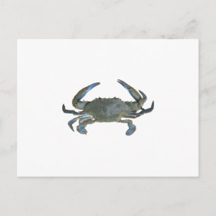 Blue "Jimmy" Crab Postkarte