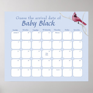 Blue Kardinal Bird Babydusche schätzt den Fälligke Poster