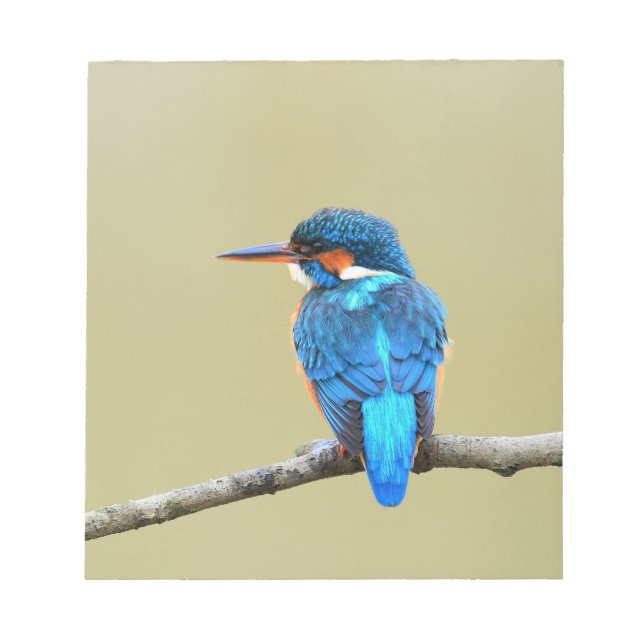 Blue Kingfisher Bird Notizblock (Vorderseite)