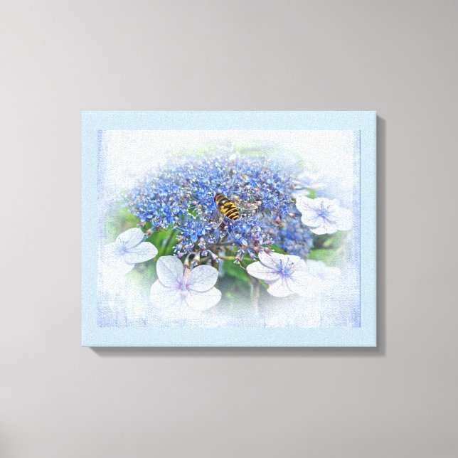 Blue Lace Cap Hydrangea Blume Leinwanddruck (Vorderseite)