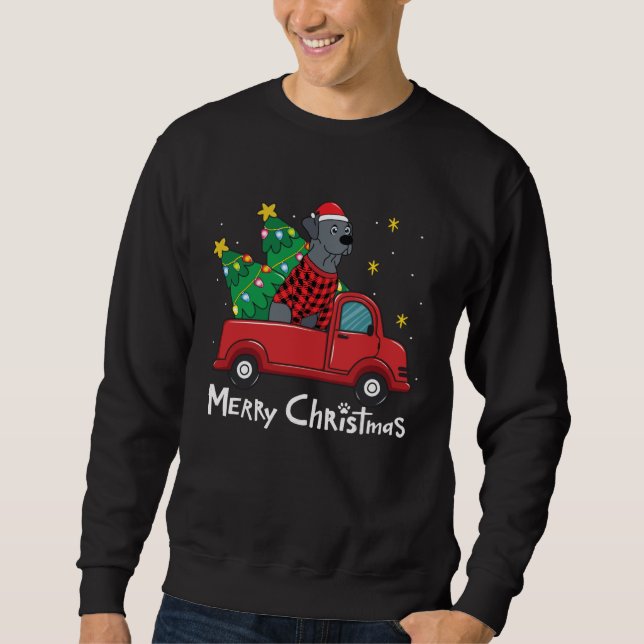 Blue Lace Christmas  Truck  Blue Lacy Sweatshirt (Vorderseite)