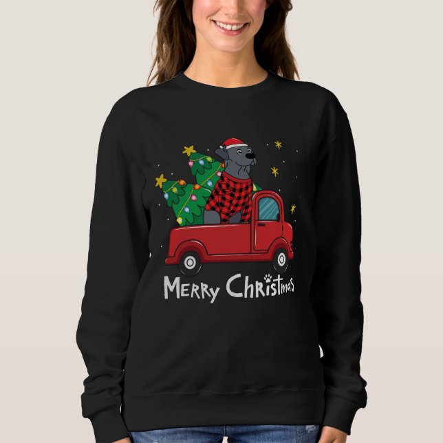 Blue Lace Christmas  Truck  Blue Lacy Sweatshirt (Vorderseite)