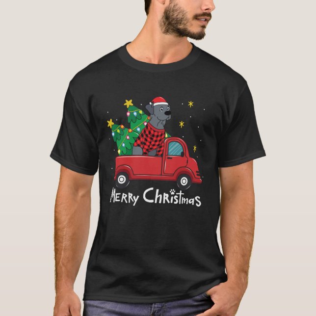 Blue Lace Christmas  Truck  Blue Lacy T-Shirt (Vorderseite)