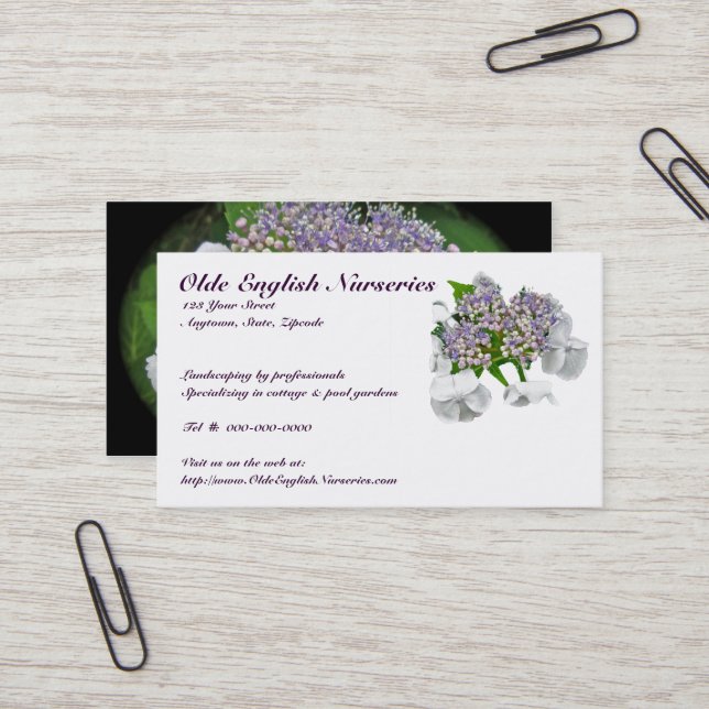 Blue Lace Hydrangea Business Card Visitenkarte (Vorderseite/Rückseite Beispiel)