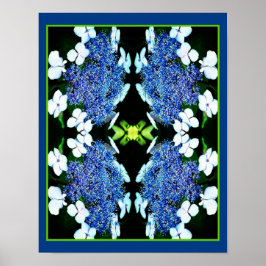 Blue Lacecap Hydrangea Blume Nah Abstrakt Poster