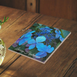 Blue Lacecap Hydrangea Floral Fliese