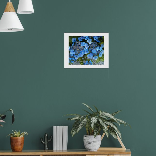 Blue Lacecap Hydrangea Floral Fotografie Poster (Wohnzimmer 1)