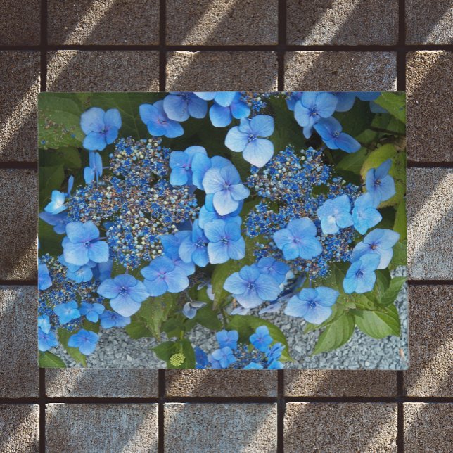 Blue Lacecap Hydrangea Floral Fußmatte (In Situ)