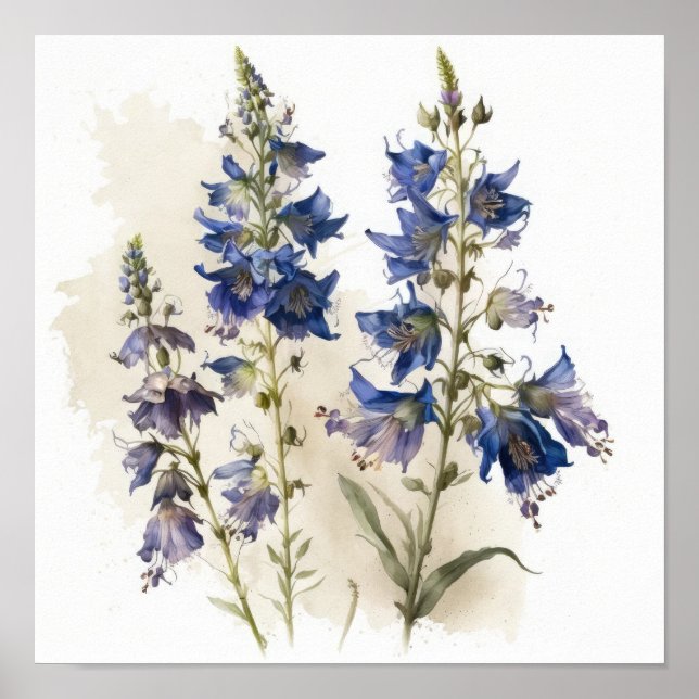 Blue Larkspur Blume Art Print Poster (Vorne)