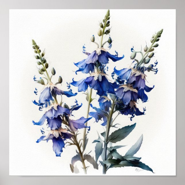 Blue Larkspur Blume Art Print Poster (Vorne)