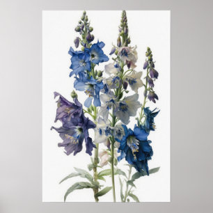 Blue Larkspur Blume Art Print Poster