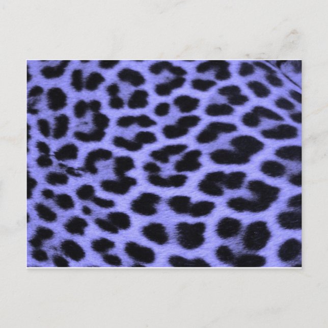 Blue Leopard Print Background Postkarte (Vorderseite)