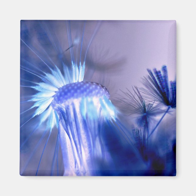 Blue Light Floral Print Square Magazin Magnet (Vorne)