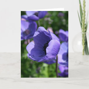Blue Lila Anemone Floral Fotografy GC Karte