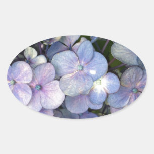 Blue Lila Hydrangea Oval Stickers