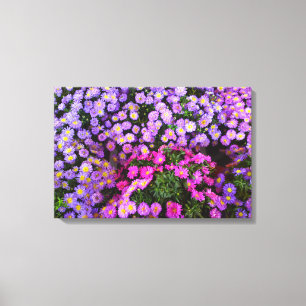 Blue Lila Pink Mum Blume Leinwand