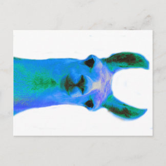 Blue Llama Graphic Postkarte