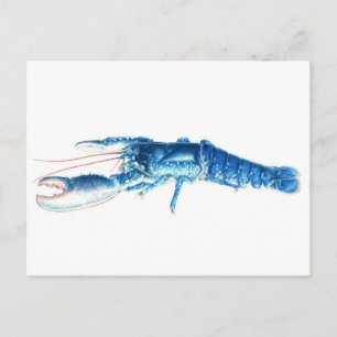 Blue lobster fine art watercolor postcard postkarte