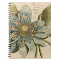 Blue Lotus Blume auf Tan Hintergrund mit Schreiben