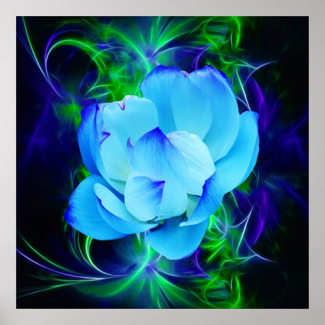 Blue lotus Blume und ihre Bedeutung Poster (Vorne)