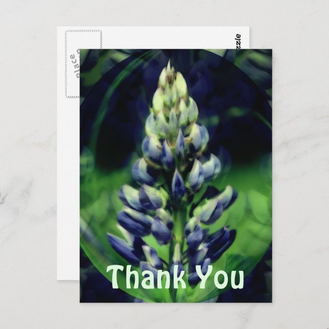 Blue Lupine Abstrakt Floral Vielen Dank Postcard Postkarte (Vorne/Hinten)
