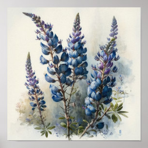 Blue Lupine Blume Art Print Poster