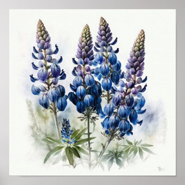 Blue Lupine Blume Art Print Poster (Vorne)
