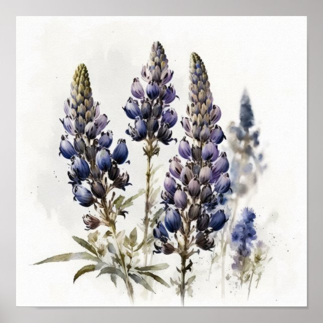 Blue Lupine Blume Art Print Poster (Vorne)