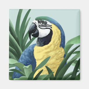 Blue Macaw Magnete