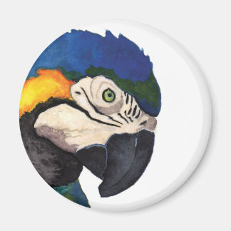 Blue Macaw Portrait Magnet