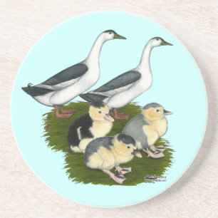 Blue Magpie Duck Family Getränkeuntersetzer