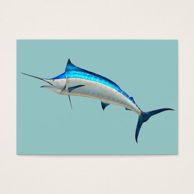 Blue Marlin (Vorderseite)