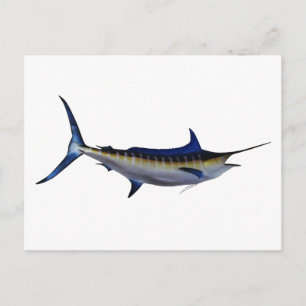 Blue Marlin Fish Postkarte