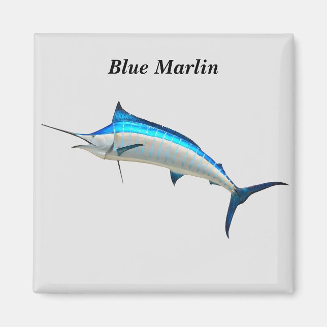 Blue Marlin Magnet (Vorne)