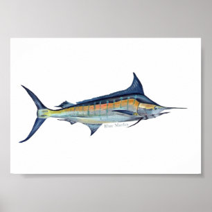 Blue Marlin Poster