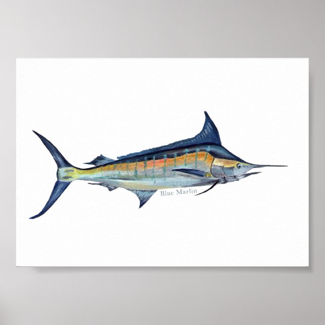 Blue Marlin Poster (Vorne)