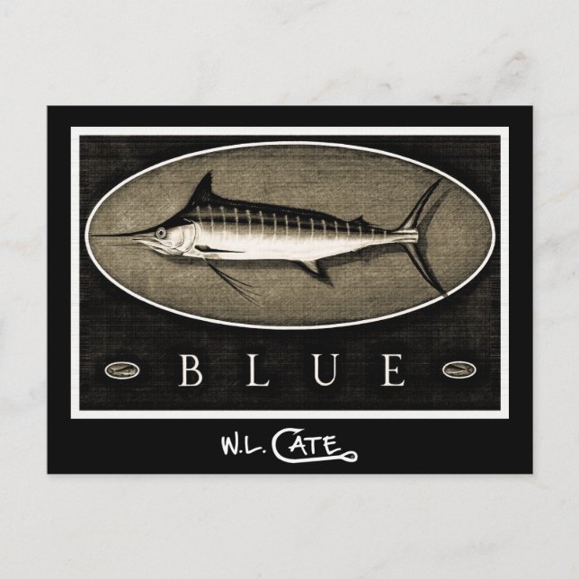 Blue Marlin Vintag Black & White Postkarten (Vorderseite)