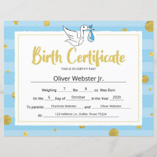 Blue Meilstone Certificate Baby Birge Certificate