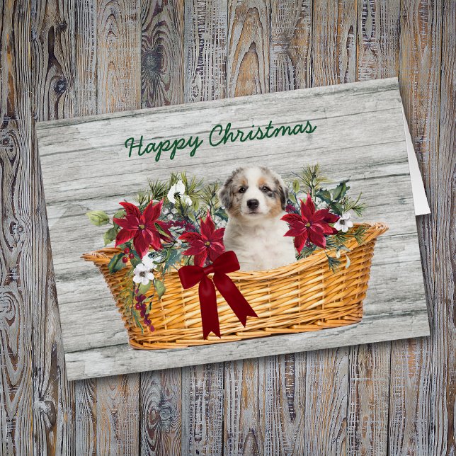 Blue Merle Aussie Puppy in Basket Weihnachtskarte (Von Creator hochgeladen)