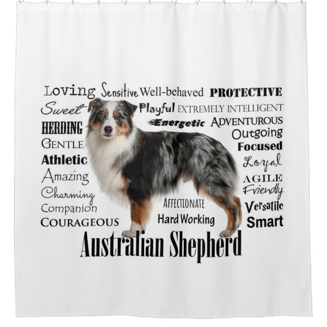 Blue Merle Australian Shepherd Duschvorhang (Vorderseite)