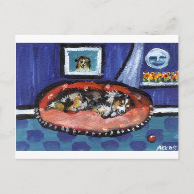 Blue Merle Australian Shepherd im Bett Postkarte (Vorderseite)