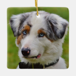 Blue Merle Australian Shepherd Puppy Keramikornament