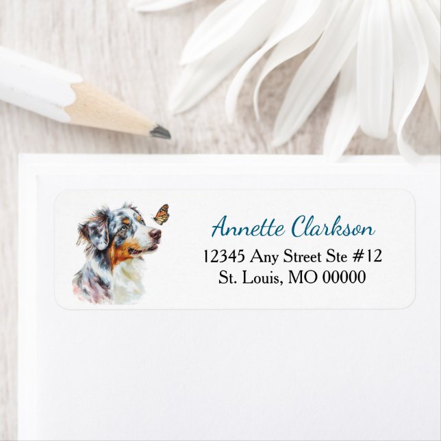 Blue Merle Australian Shepherd Schmetterling Wunde (Insitu)