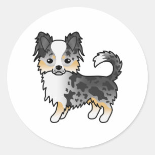 Blue Merle Long Coat Chihuahua Niedlicher Cartoon  Runder Aufkleber