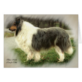 Blue Merle Rough Collie Art Cards Geschenke