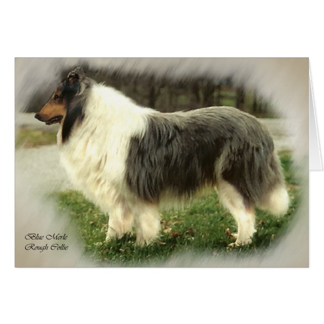 Blue Merle Rough Collie Art Cards Geschenke (Vorderseite (Horizontal))
