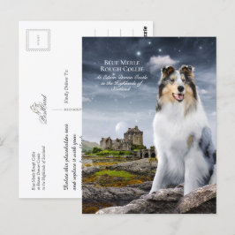 Blue Merle Rough Collie auf der Burg Eilean Donan  Postkarte